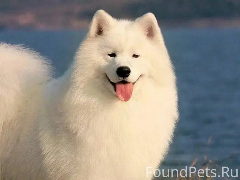 В районе обувной фабрики потер...