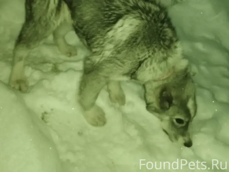 🆘🆘🆘❗❗❗ДРУЗЬЯ❗❗❗ Прошу максимал...