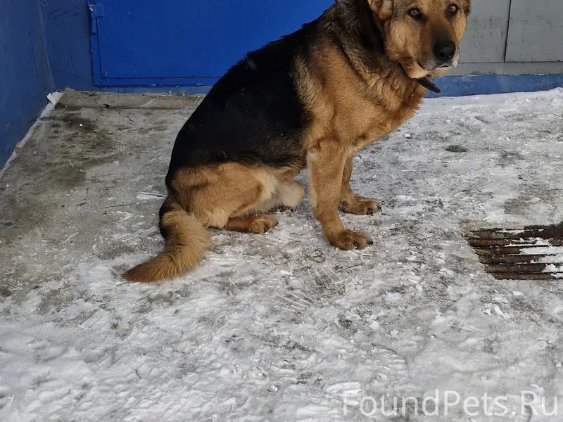 У 13 дома, на Кл Цеткин...