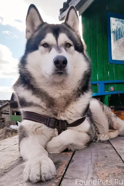 Что-то давненько мы не публико...
