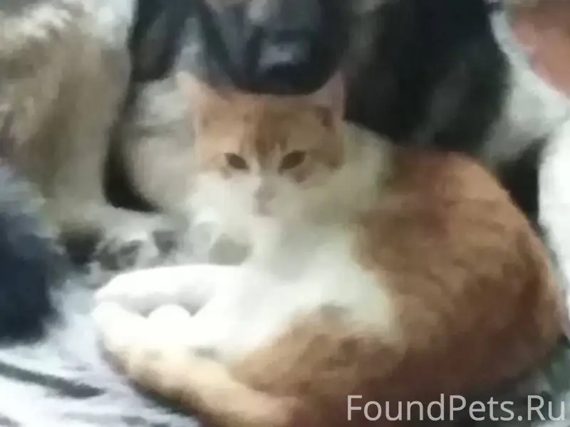 Прошу помощи! 31 декабря, прим...