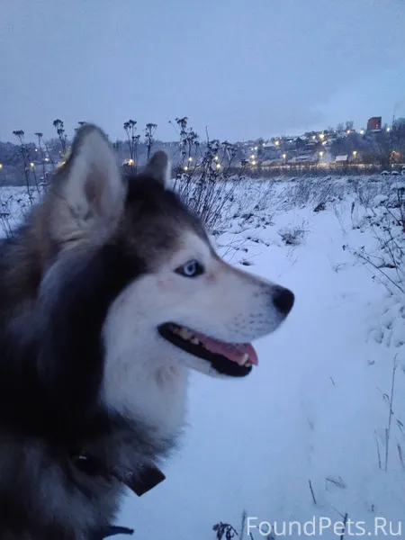 Я хочу сказать огромное спасиб...