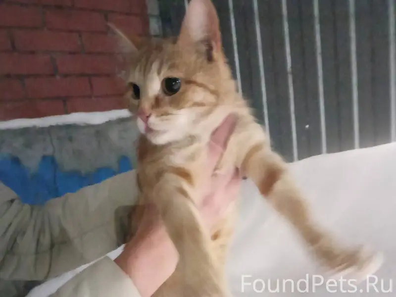 Вот такая молоденькая красивая...