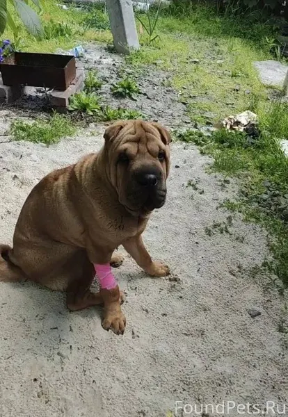 В 4-00 утра 01.01...