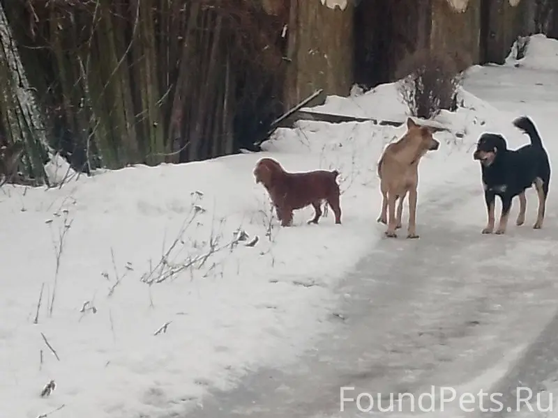 Доброго всем дня. Кто потерял ...