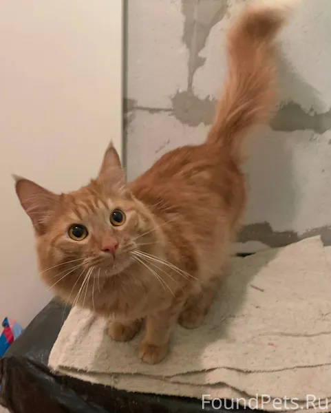 На улице Хотьковский проезд в ...