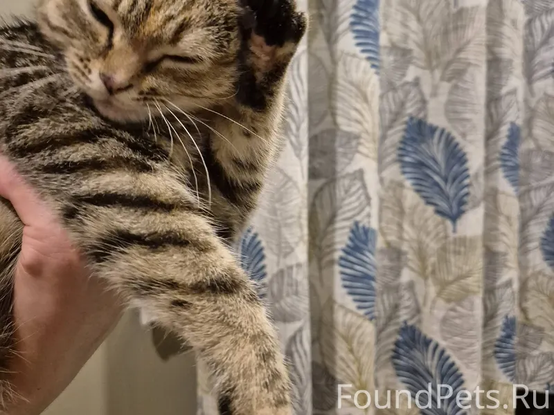 Сапожок ищет дом, где ждут чуд...