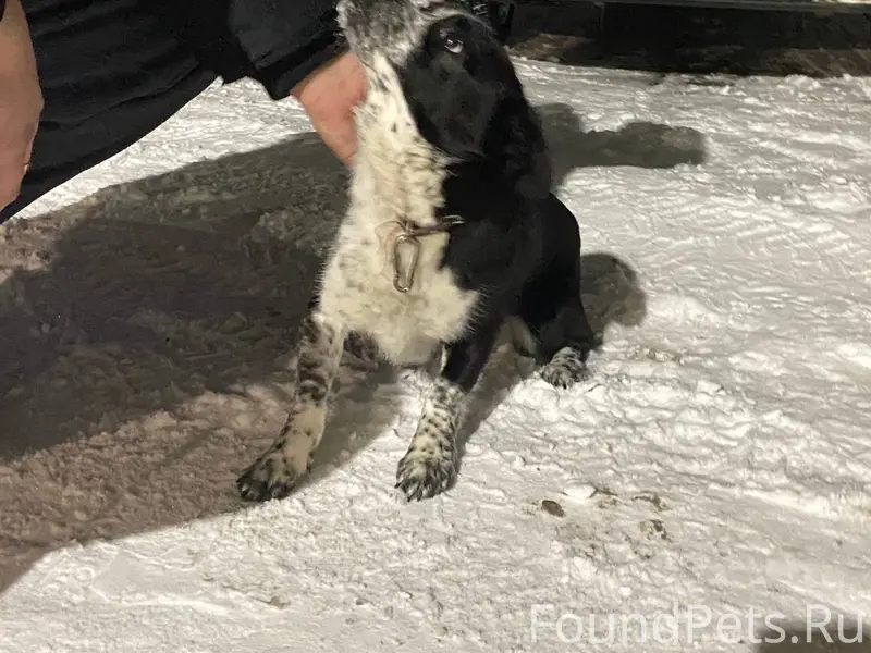 Всем привет! В Увельском, на у...