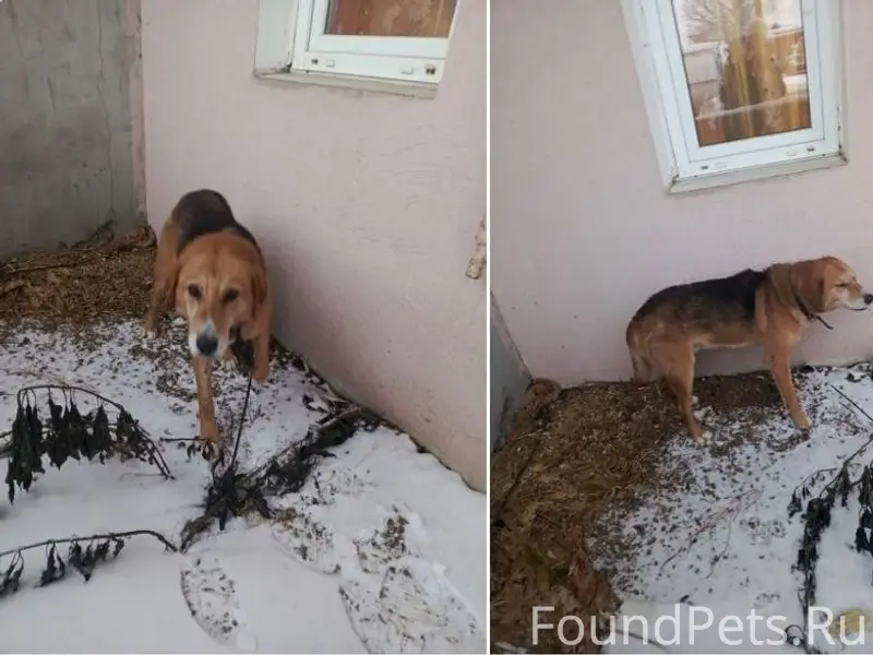 По Кирилловскому микрорайону г...