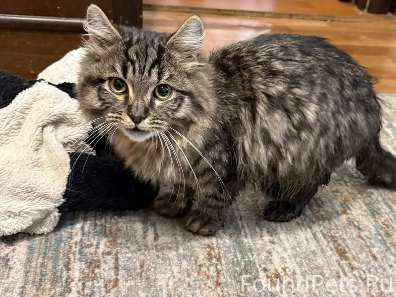 Всем добрый день! С Новым годо...