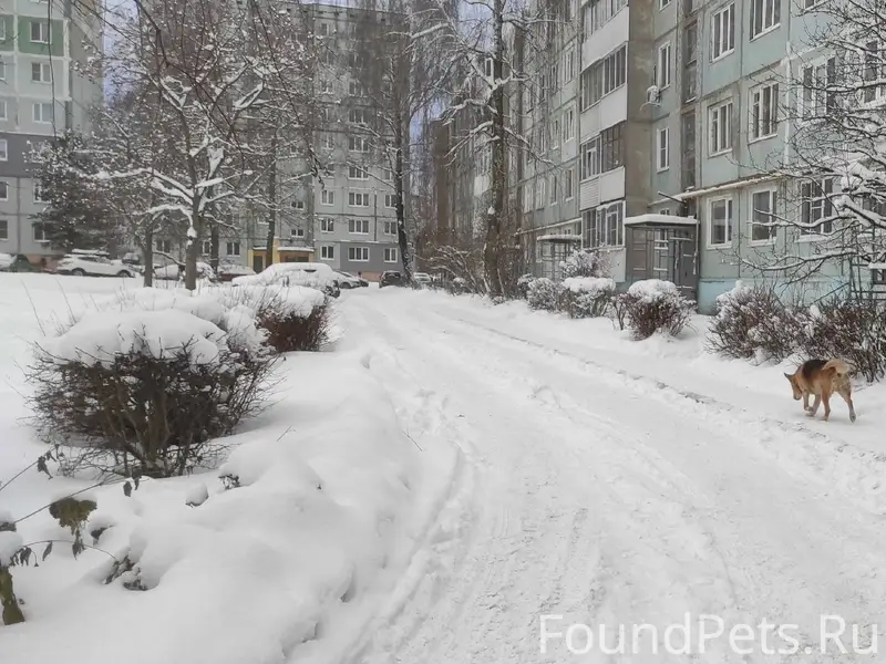 ❗❗ Просьба распространить инфо...