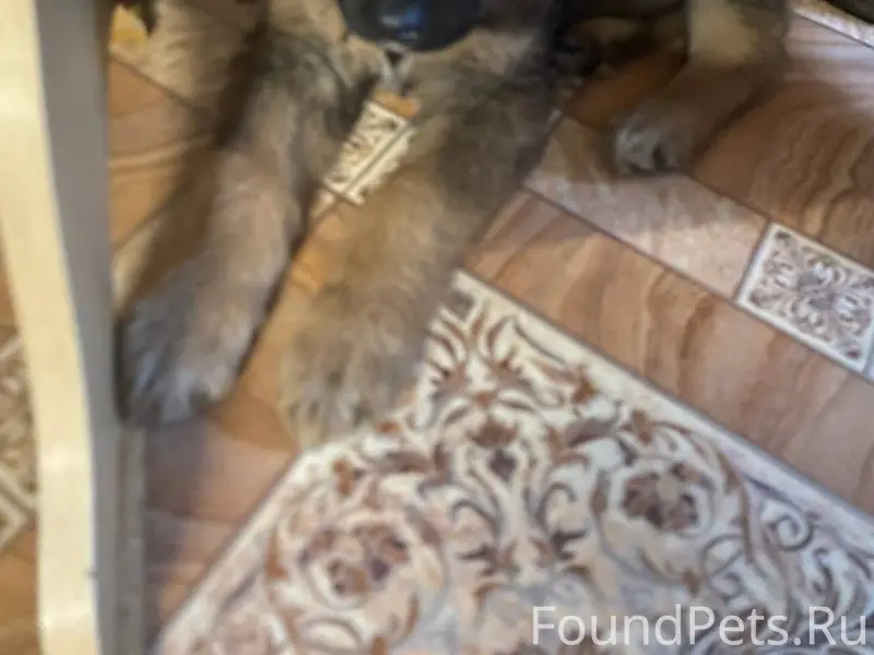 Добрый день, вчера на территор...