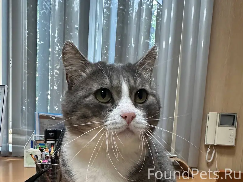 Том Этот красавчик был найден ...