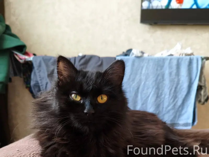 Всем добрый день!) 3 января на...