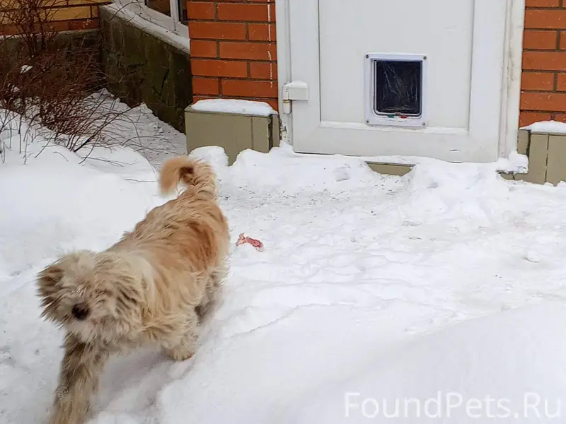 Московская область город Щёлко...