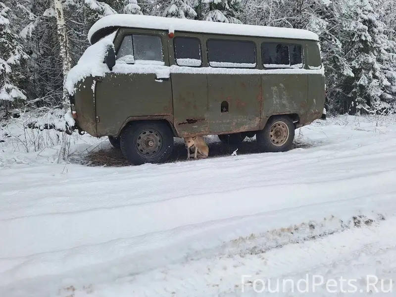 Всем доброго времени суток! 28...