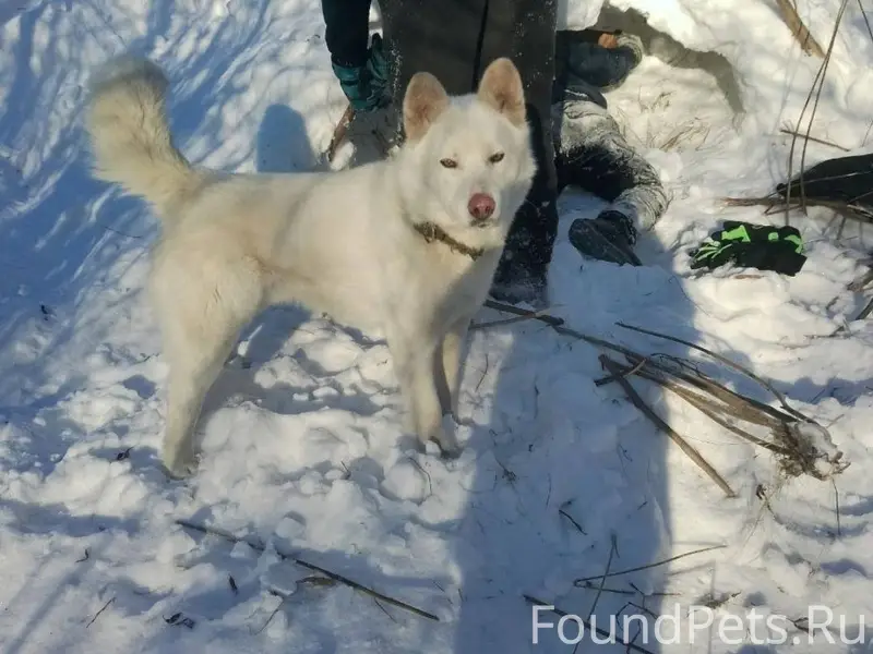 Добрый день. Всех неравнодушны...