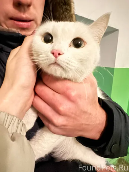 Вчера утром 03.01.2026 была...