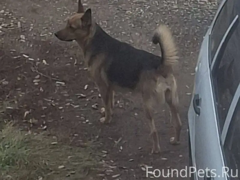 Уважаемые жители! Возможно кто...