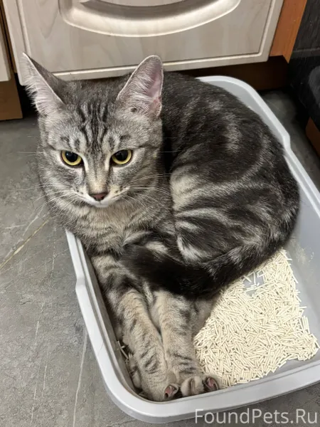 ‼️На ул. 9 мая, дом 20а...