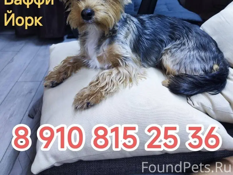 Продолжаем поиски, надеемся......