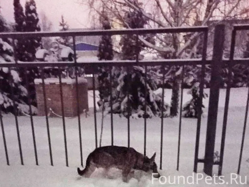 На территории ПТУ (колледж Мос...