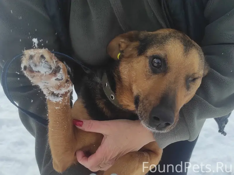 ДрузьЯ, сегодня поздно вечером...