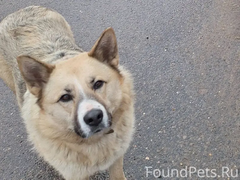 Подольск, Лемешово Добрый вече...