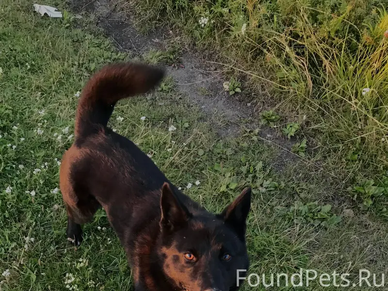 Пожалуйста, выложите поскорее🙏...