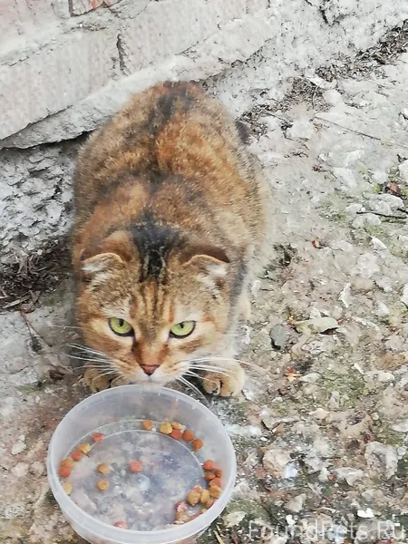 Г. Петушки Владимирская област...