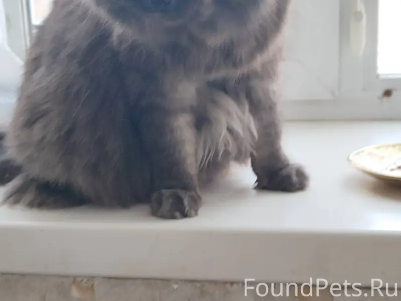 Чтоб жизнь нам не казалась сил...