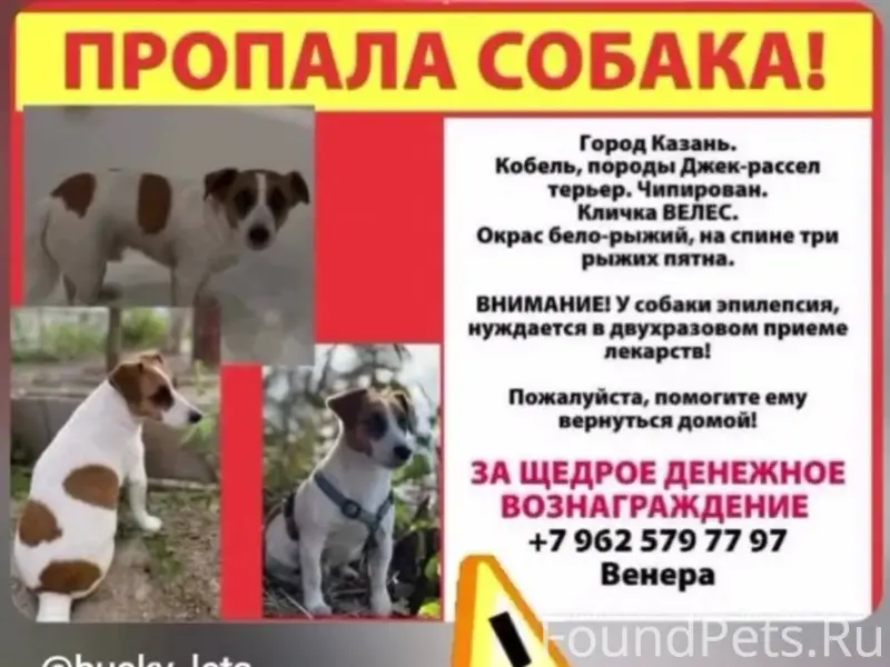 Утром 19 декабря пропала моя с...