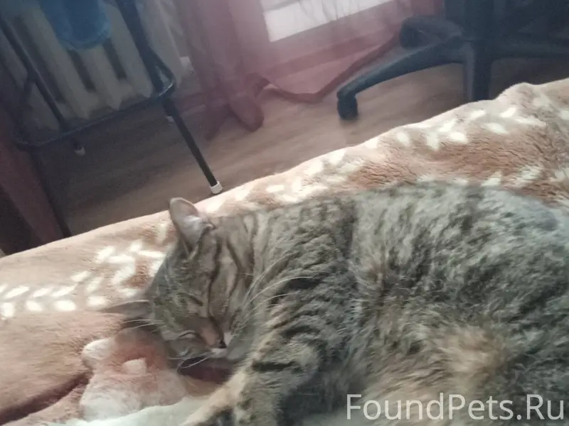 Туймазы, район ФНМ. Пропала ко...