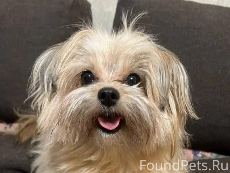 ПОИСК КНОПОЧКИ, ПОМОГИТЕ НАЙТИ...