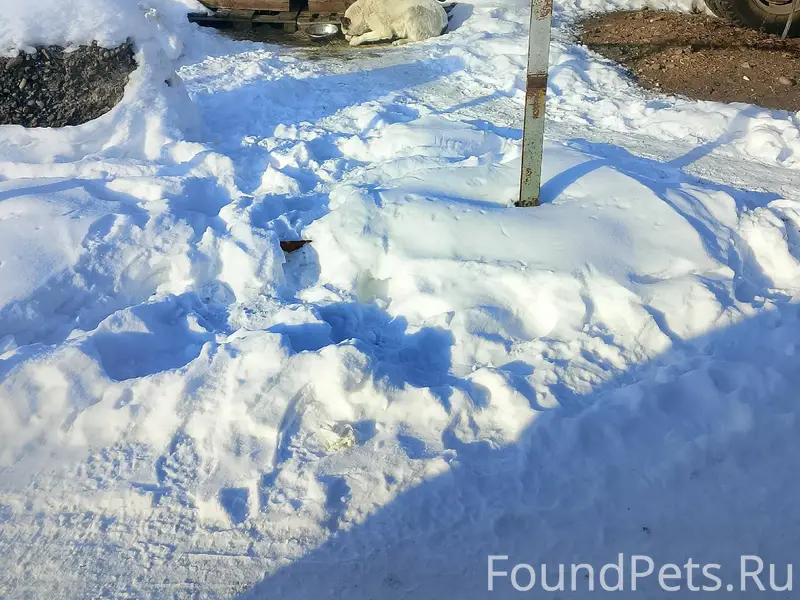 Пока кто-то наслаждается празд...