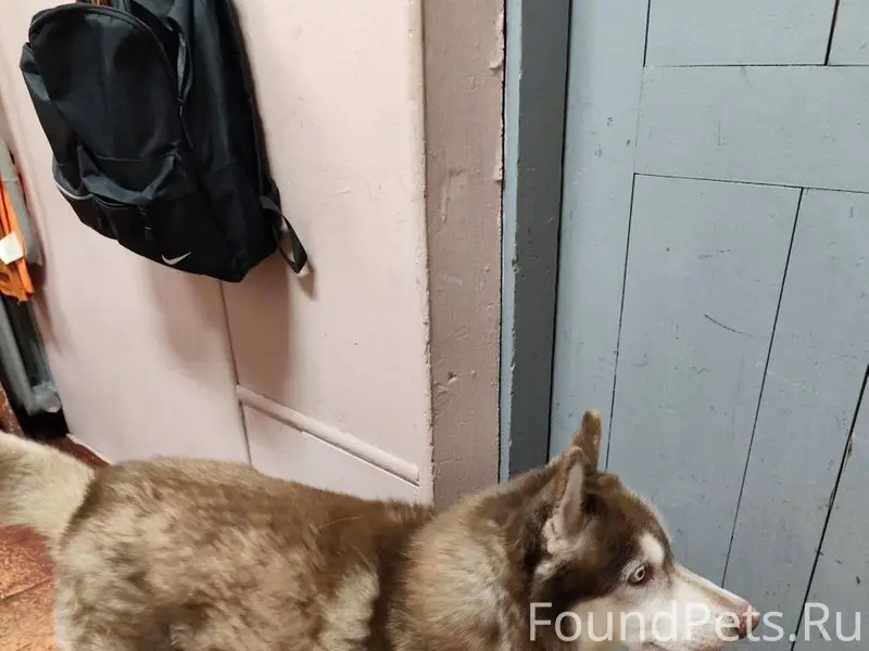 Три дня назад на ж/д...