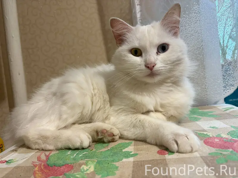 Добрый день! Ночью 4 января в....