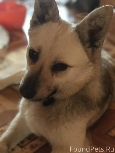 Помогите найти