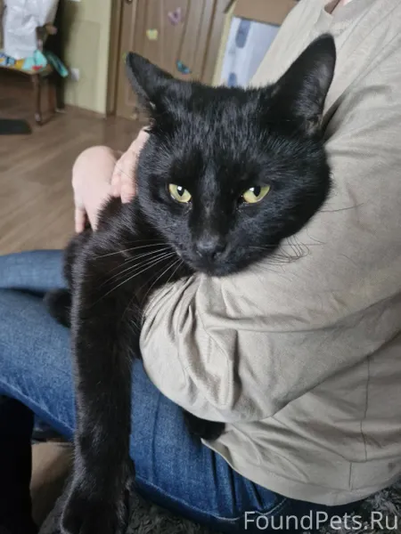 У дома номер 10 по ул...