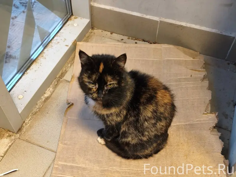 В "Пятерочке"на улице Садовая,...