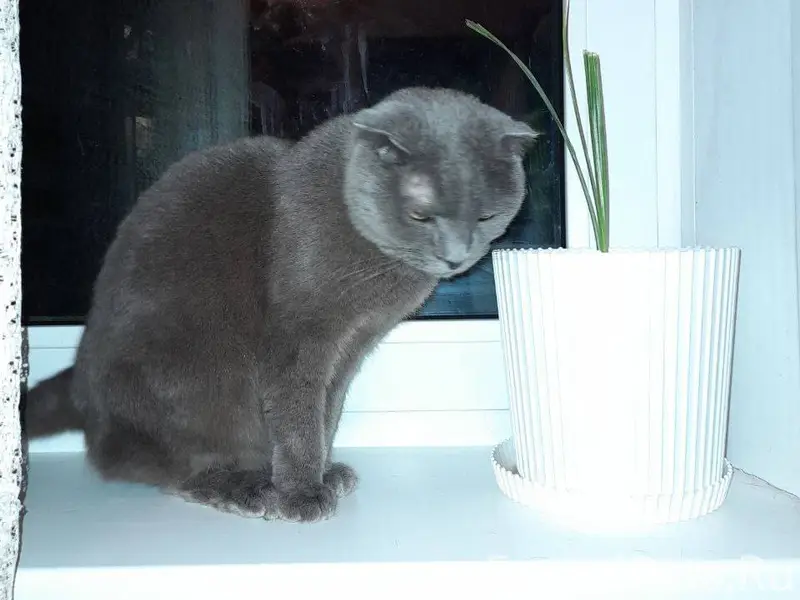 #Калуга В районе Маршала Жуков...