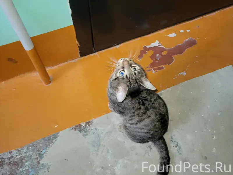 🐈⬛ С 31.12.2025 г...