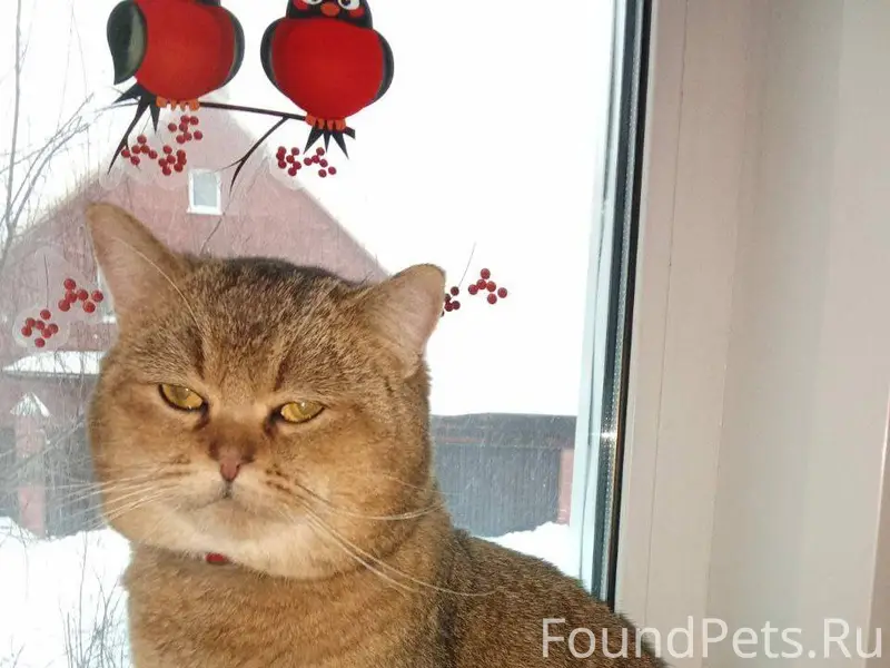 ‼️Внимание! Найден этот очень ...