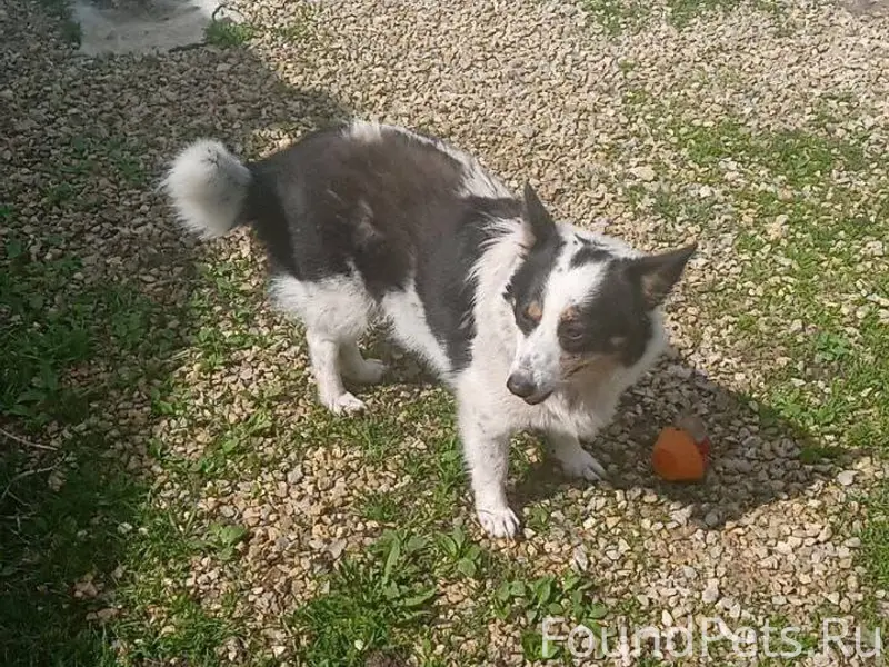 Орловская область Мценский рай...