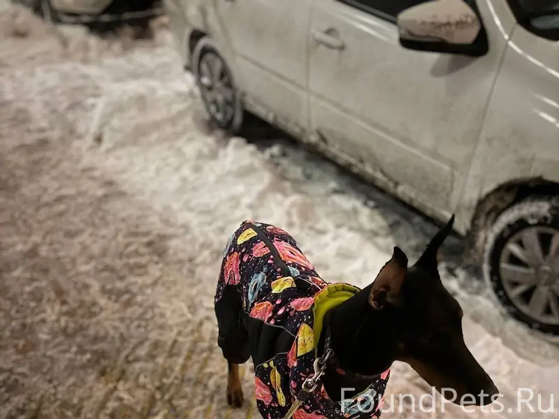 ДОБЕРХЭЛП. ИНФОПОМОЩЬ. СРОЧНО!...