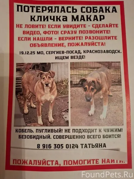 Андрей,привет!Очень нужна твоя...