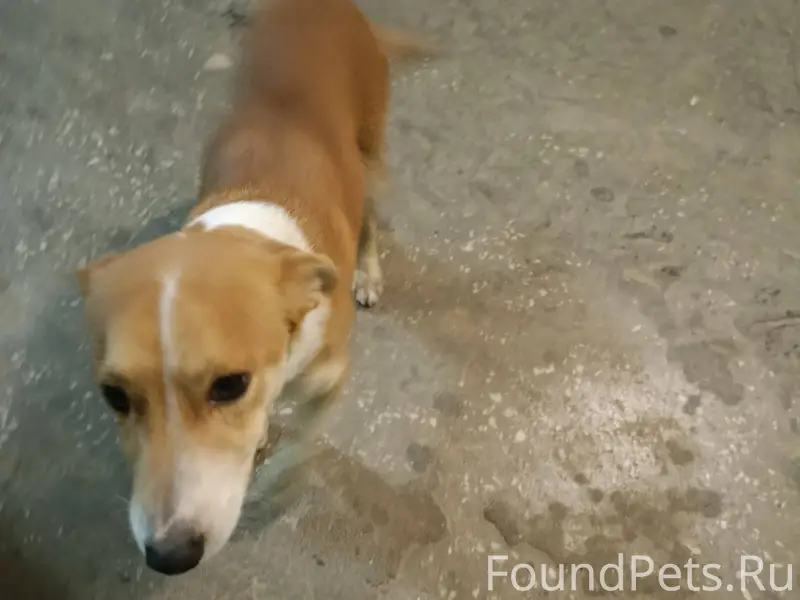 🆘🆘🆘🆘❗❗❗❗ СРОЧНО в подъезд приб...