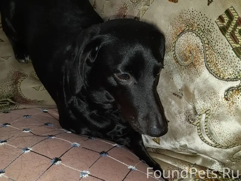 Добрый вечер,подписчики. Пропа...