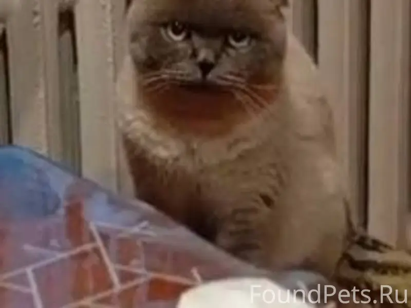 4 января, в районе бывшего кол...