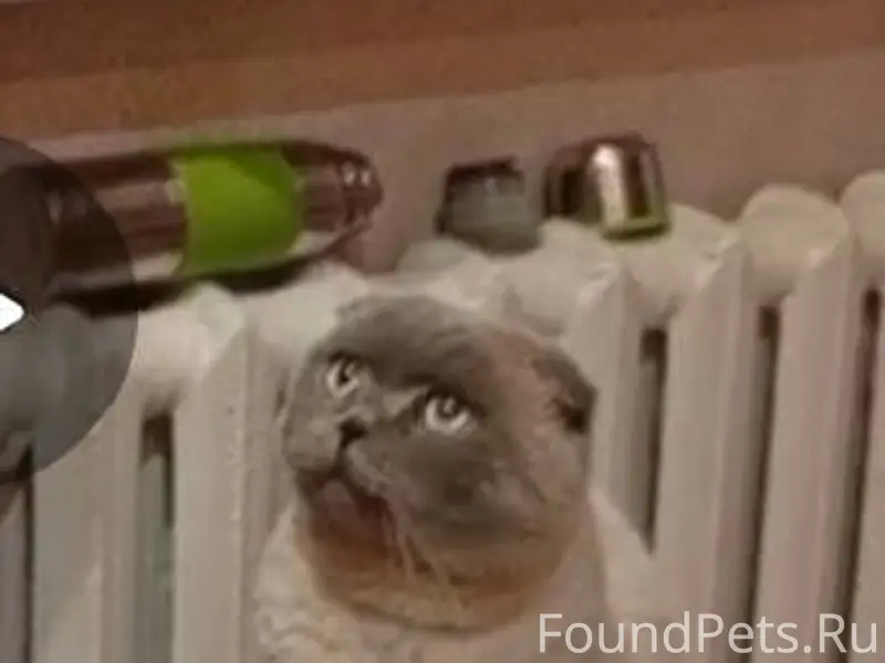 4 января, в районе бывшего кол...